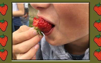 Sortie Ferme fruitière