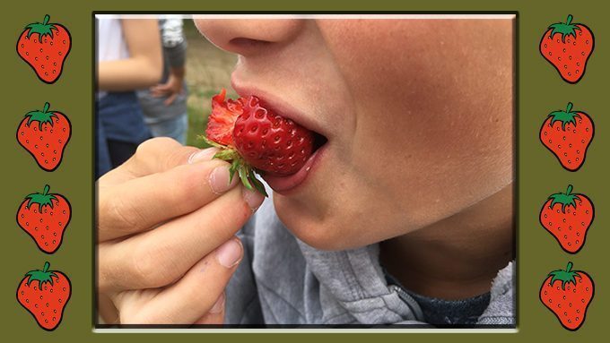 Sortie Ferme fruitière