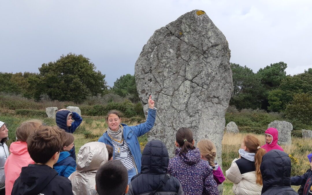 CARNAC * Musée de la Préhistoire 6A Suède et 6C Irlande